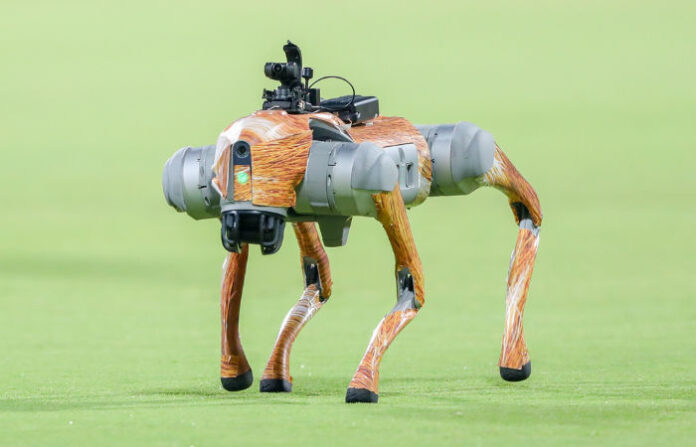 Why IPL’s Robot Dog Champak Is Trending – Full Story Inside